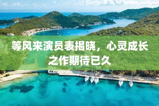 等風(fēng)來(lái)演員表揭曉，心靈成長(zhǎng)之作期待已久