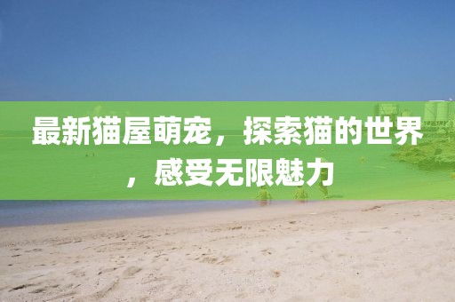 最新貓屋萌寵，探索貓的世界，感受無限魅力