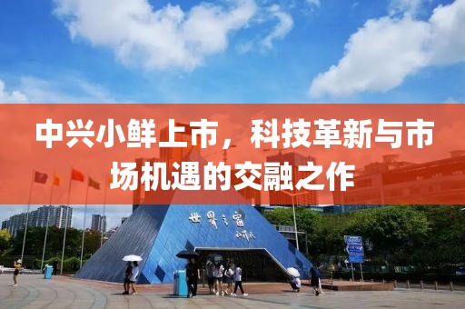 中興小鮮上市，科技革新與市場機遇的交融之作