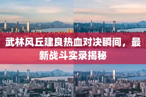 武林風(fēng)丘建良熱血對(duì)決瞬間，最新戰(zhàn)斗實(shí)錄揭秘