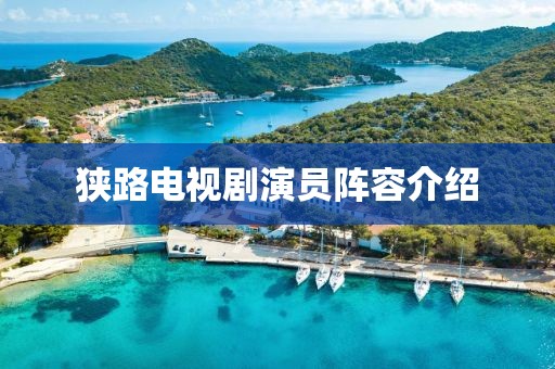 狹路電視劇演員陣容介紹