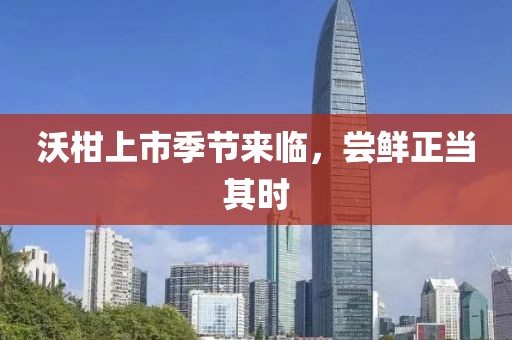 沃柑上市季節(jié)來臨，嘗鮮正當(dāng)其時(shí)