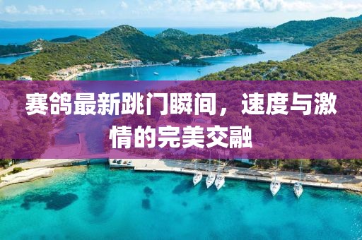 賽鴿最新跳門瞬間，速度與激情的完美交融
