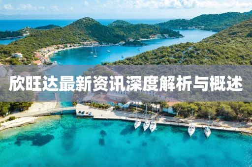 欣旺達(dá)最新資訊深度解析與概述