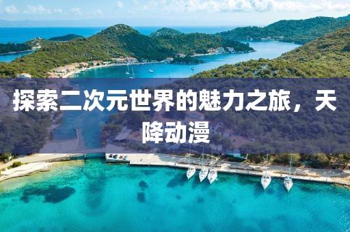 探索二次元世界的魅力之旅，天降動(dòng)漫