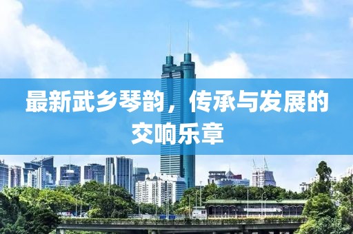 最新武鄉(xiāng)琴韻，傳承與發(fā)展的交響樂章