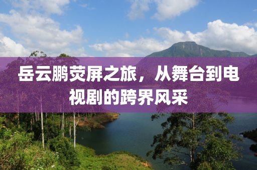 岳云鵬熒屏之旅，從舞臺到電視劇的跨界風采