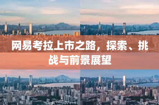 網(wǎng)易考拉上市之路，探索、挑戰(zhàn)與前景展望