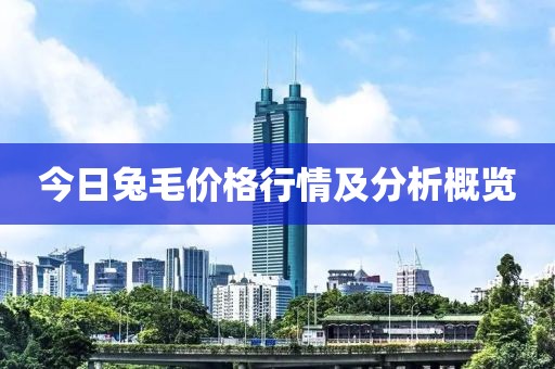 今日兔毛價(jià)格行情及分析概覽