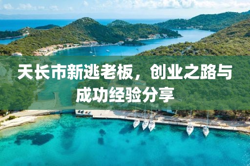 天長市新逃老板，創(chuàng)業(yè)之路與成功經(jīng)驗分享