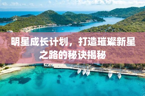 明星成長計(jì)劃，打造璀璨新星之路的秘訣揭秘