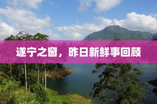 遂寧之窗，昨日新鮮事回顧