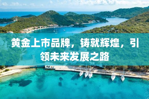 黃金上市品牌，鑄就輝煌，引領(lǐng)未來(lái)發(fā)展之路