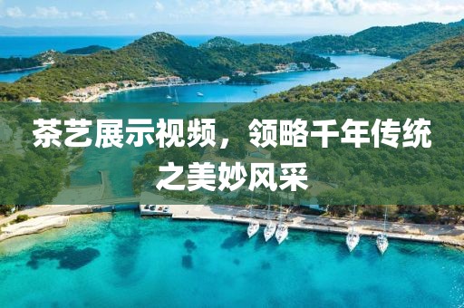 茶藝展示視頻，領(lǐng)略千年傳統(tǒng)之美妙風(fēng)采