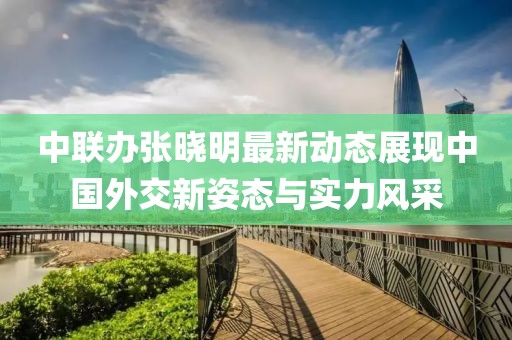 中聯(lián)辦張曉明最新動態(tài)展現(xiàn)中國外交新姿態(tài)與實力風(fēng)采