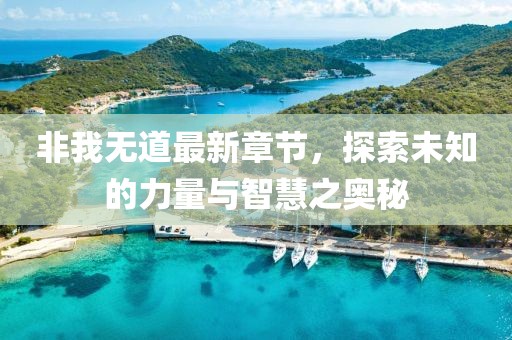 非我無道最新章節(jié)，探索未知的力量與智慧之奧秘