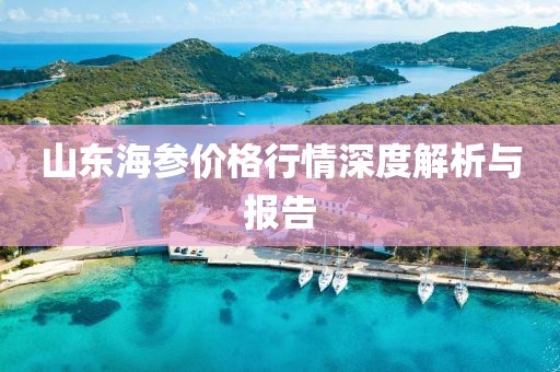 山東海參價(jià)格行情深度解析與報(bào)告