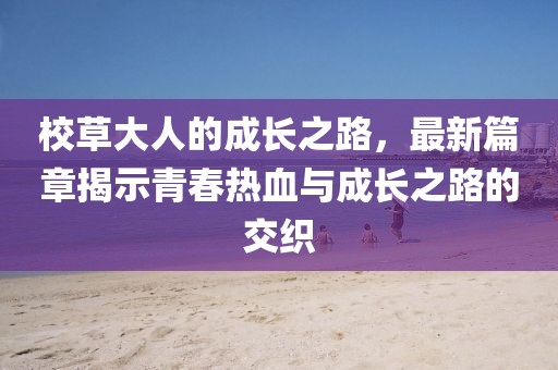 校草大人的成長(zhǎng)之路，最新篇章揭示青春熱血與成長(zhǎng)之路的交織