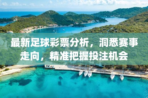 最新足球彩票分析，洞悉賽事走向，精準(zhǔn)把握投注機(jī)會(huì)