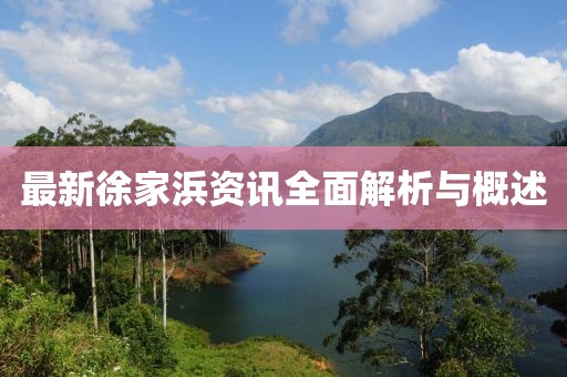 最新徐家浜資訊全面解析與概述