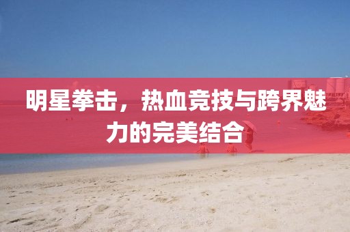 明星拳擊，熱血競技與跨界魅力的完美結合