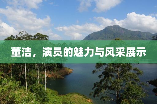 董潔，演員的魅力與風(fēng)采展示