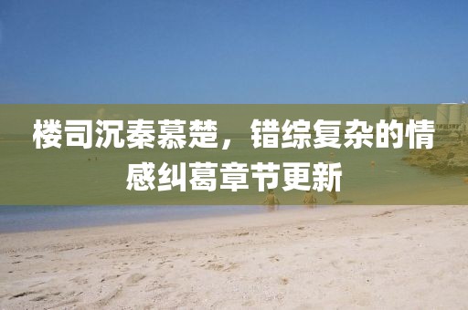樓司沉秦慕楚，錯綜復雜的情感糾葛章節(jié)更新