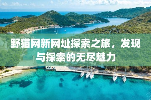 野貓網(wǎng)新網(wǎng)址探索之旅，發(fā)現(xiàn)與探索的無(wú)盡魅力