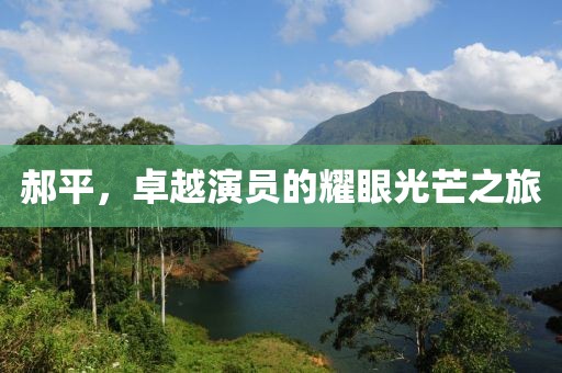 郝平，卓越演員的耀眼光芒之旅