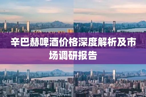 辛巴赫啤酒價格深度解析及市場調(diào)研報告