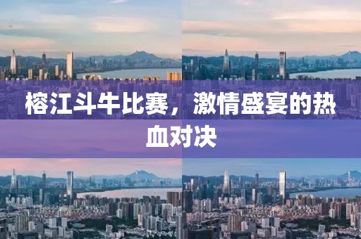 榕江斗牛比賽，激情盛宴的熱血對(duì)決