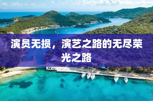 演員無損，演藝之路的無盡榮光之路