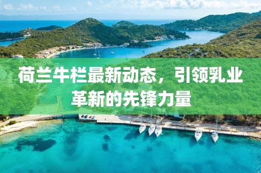 荷蘭牛欄最新動態(tài)，引領(lǐng)乳業(yè)革新的先鋒力量