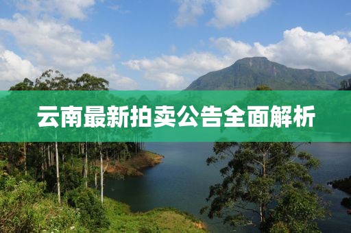 云南最新拍賣公告全面解析