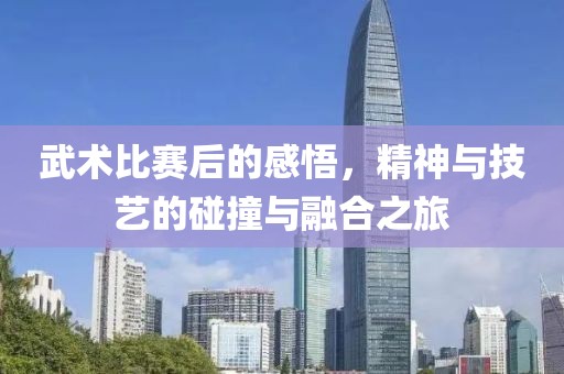 武術(shù)比賽后的感悟，精神與技藝的碰撞與融合之旅