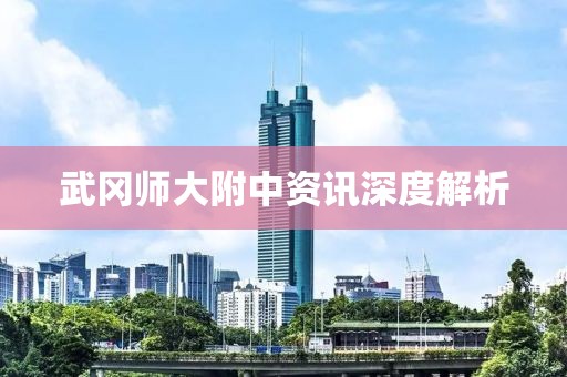 武岡師大附中資訊深度解析