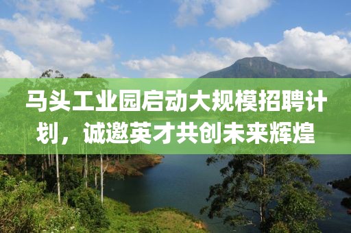 馬頭工業(yè)園啟動大規(guī)模招聘計劃，誠邀英才共創(chuàng)未來輝煌