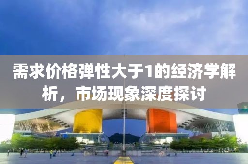 需求價格彈性大于1的經(jīng)濟(jì)學(xué)解析，市場現(xiàn)象深度探討