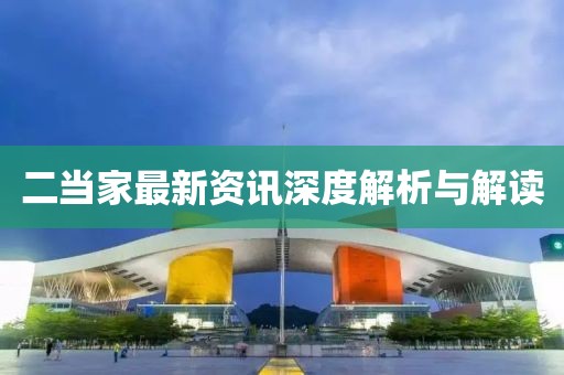 二當家最新資訊深度解析與解讀