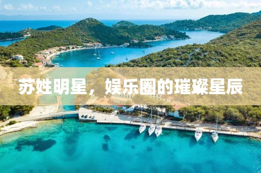 蘇姓明星，娛樂圈的璀璨星辰