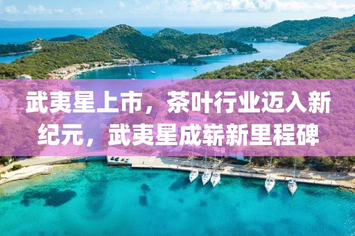 武夷星上市，茶葉行業(yè)邁入新紀(jì)元，武夷星成嶄新里程碑
