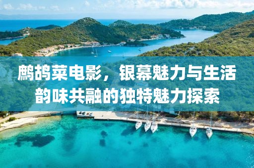 鷓鴣菜電影，銀幕魅力與生活韻味共融的獨(dú)特魅力探索