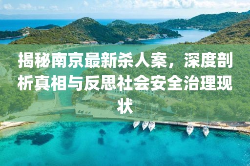 揭秘南京最新殺人案，深度剖析真相與反思社會安全治理現(xiàn)狀