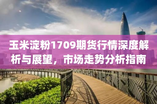 玉米淀粉1709期貨行情深度解析與展望，市場(chǎng)走勢(shì)分析指南