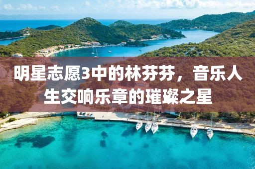 明星志愿3中的林芬芬，音樂人生交響樂章的璀璨之星