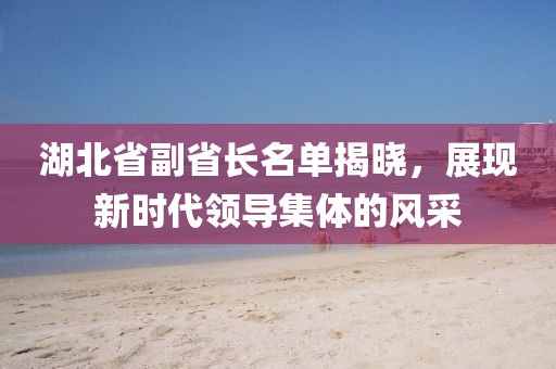 湖北省副省長名單揭曉，展現(xiàn)新時代領導集體的風采