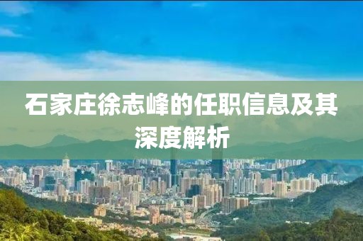石家莊徐志峰的任職信息及其深度解析
