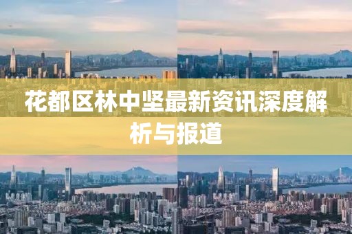 花都區(qū)林中堅最新資訊深度解析與報道