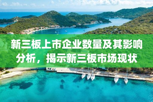 新三板上市企業(yè)數(shù)量及其影響分析，揭示新三板市場現(xiàn)狀