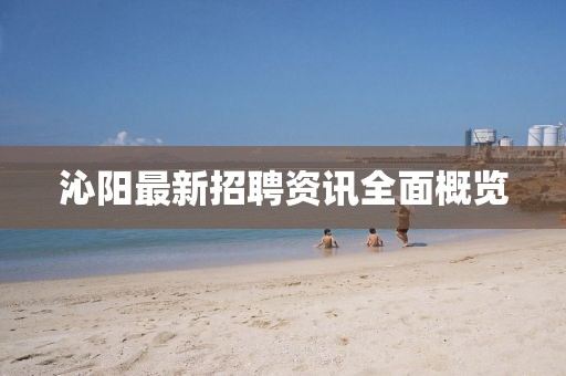 沁陽最新招聘資訊全面概覽
